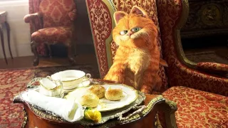 Garfield II