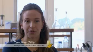 Chybějící článek aneb Když zmizí jeden zvířecí druh