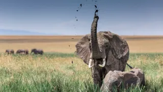 Zázraky Afriky: Noc a den