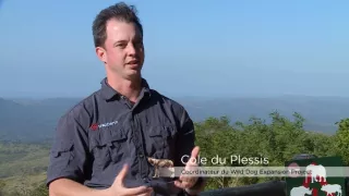 Chybějící článek aneb Když zmizí jeden zvířecí druh