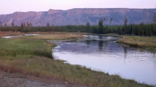 Chybějící článek aneb Když zmizí jeden zvířecí druh