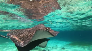 Modrá planeta - další expedice (3/4)