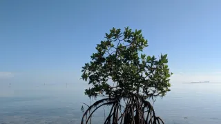 Modrá planeta - další expedice (3/4)