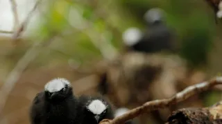 Modrá planeta - další expedice (3/4)