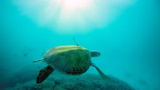 Modrá planeta - další expedice (3/4)