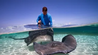 Modrá planeta - další expedice (3/4)