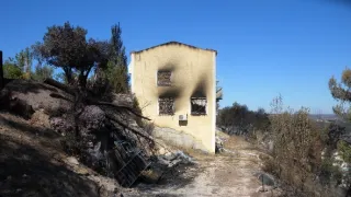 Síla ohně aneb Naše Země hoří