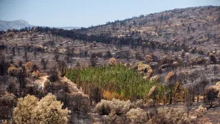 Síla ohně aneb Naše Země hoří