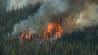 Síla ohně aneb Naše Země hoří