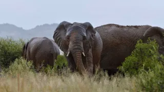 Napájadlo - africká zvieracia oáza (3/3)