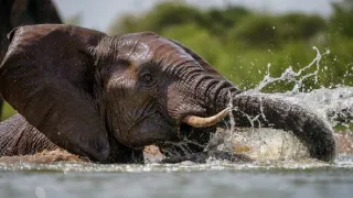 Napájadlo - africká zvieracia oáza (3/3)