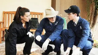 NCIS - Námorný vyšetrovací úrad V (13)