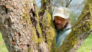 Krajina Dana Bárty (4/6)