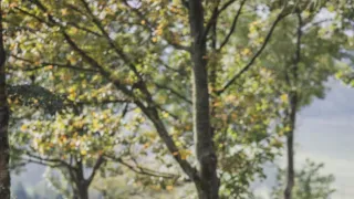 Krajinou soch (2/6)