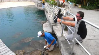 Na cestě po Kajmanských ostrovech