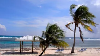 Na cestě po Kajmanských ostrovech