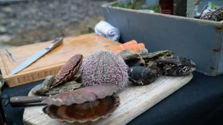 Objevování chutí s Gordonem Ramsaym