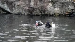 Objevování chutí s Gordonem Ramsaym