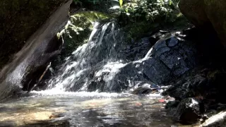 Kráľovstvo divočiny: Papua-Nová Guinea