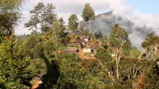 Kráľovstvo divočiny: Papua-Nová Guinea