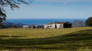 Domov kunovce tečkovaného