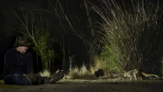 Domov kunovce tečkovaného