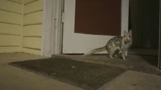 Domov kunovce tečkovaného