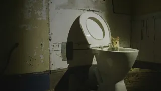 Domov kunovce tečkovaného