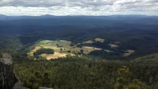 Domov kunovce tečkovaného