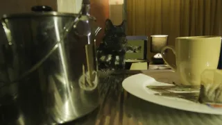 Domov kunovce tečkovaného