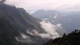 Kráľovstvo divočiny: Papua-Nová Guinea