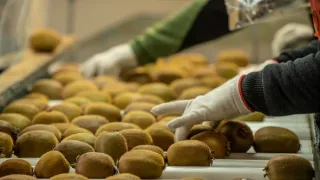 Na cestě po novozélandském Tasmanu