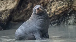 Na cestě po novozélandském Tasmanu