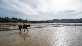 Na cestě po novozélandském Tasmanu