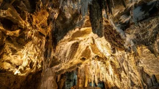 Na cestě po novozélandském Tasmanu