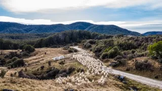 Na cestě po novozélandském Tasmanu