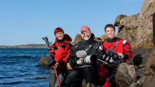 Rybí království (3)