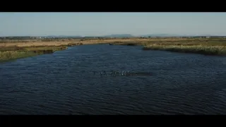 Putovanie Priamovho pokladu