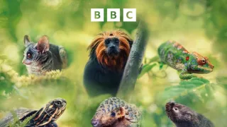 Zázračná planeta: Velká putování malých živočichů (1/3)