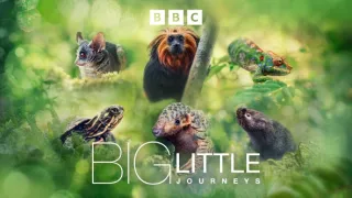 Zázračná planeta: Velká putování malých živočichů (1/3)