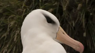 Patagonie - život na konci světa (5/6)