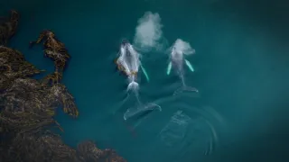 Patagonie - život na konci světa (5/6)