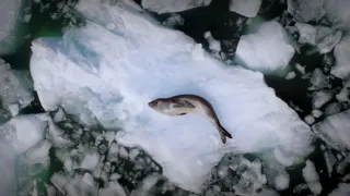 Patagonie - život na konci světa (5/6)