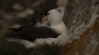 Patagonie - život na konci světa (5/6)