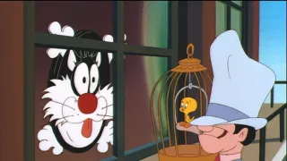 Szilveszter és Csőrike kalandjai (6)