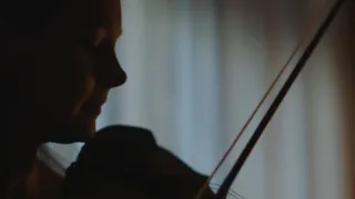 Dřevo pro Stradivariho