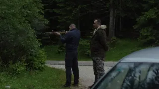 Dřevo pro Stradivariho