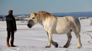 Auvergne, sopečná Francie