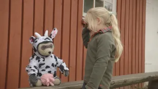 Rady medvídka mývala