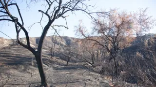 Svědkem katastrofy (1)